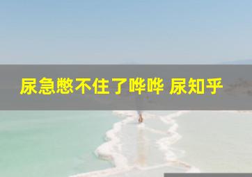 尿急憋不住了哗哗 尿知乎